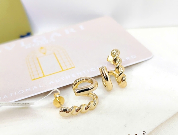 B02745 Bông tai kiểu Gold (Liminted)750