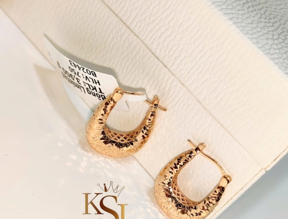 B02443 Bông tai chạm máy (Liminted)750