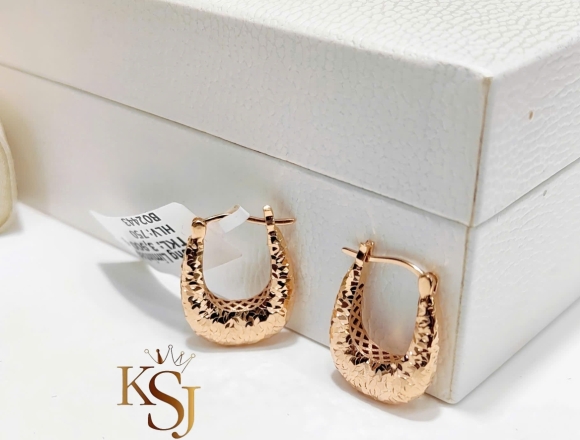 B02443 Bông tai chạm máy (Liminted)750