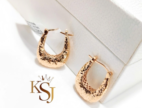 B02443 Bông tai chạm máy (Liminted)750