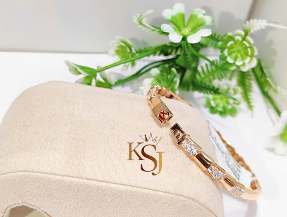 V01125 Vòng Tay BVL (HK)750 ni52