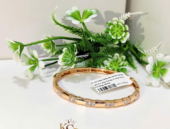 V01125 Vòng Tay BVL (HK)750 ni52